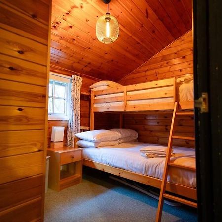 Cozy Norwegian Style Log Cabin In Rural Snowdonia - 2 Bedrooms & Parking By Seren Short Stays Ffestiniog Exteriör bild