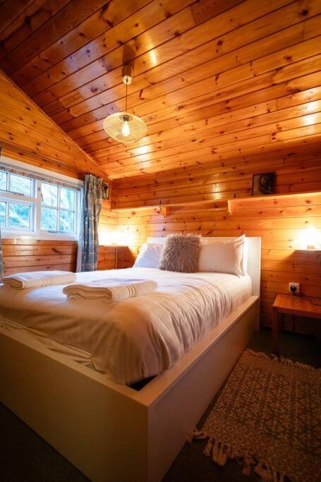 Cozy Norwegian Style Log Cabin In Rural Snowdonia - 2 Bedrooms & Parking By Seren Short Stays Ffestiniog Exteriör bild