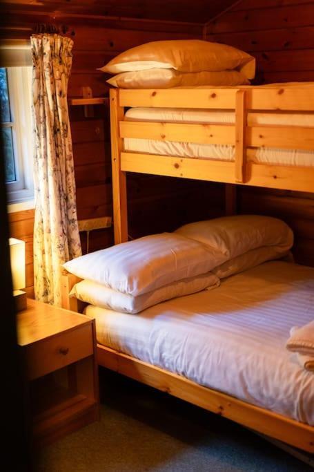 Cozy Norwegian Style Log Cabin In Rural Snowdonia - 2 Bedrooms & Parking By Seren Short Stays Ffestiniog Exteriör bild