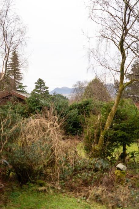 Cozy Norwegian Style Log Cabin In Rural Snowdonia - 2 Bedrooms & Parking By Seren Short Stays Ffestiniog Exteriör bild