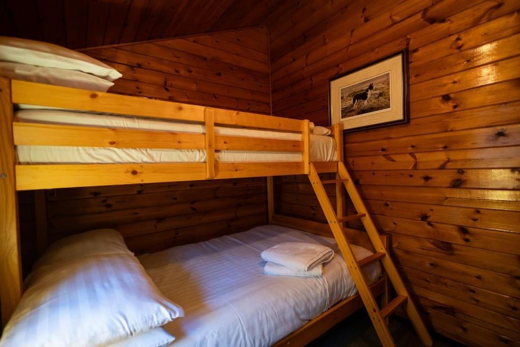Cozy Norwegian Style Log Cabin In Rural Snowdonia - 2 Bedrooms & Parking By Seren Short Stays Ffestiniog Exteriör bild
