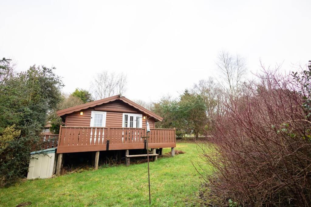 Cozy Norwegian Style Log Cabin In Rural Snowdonia - 2 Bedrooms & Parking By Seren Short Stays Ffestiniog Exteriör bild